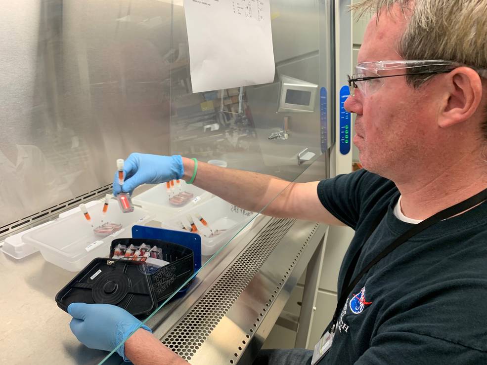 Dr. Craig Everroad, Loading Bacillus Subtilis Samples