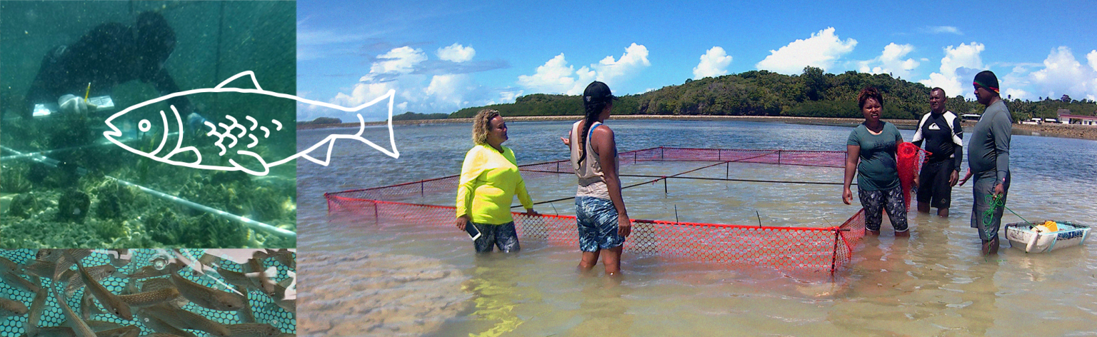 Photos of fish and an aquaculture farm in Palau.