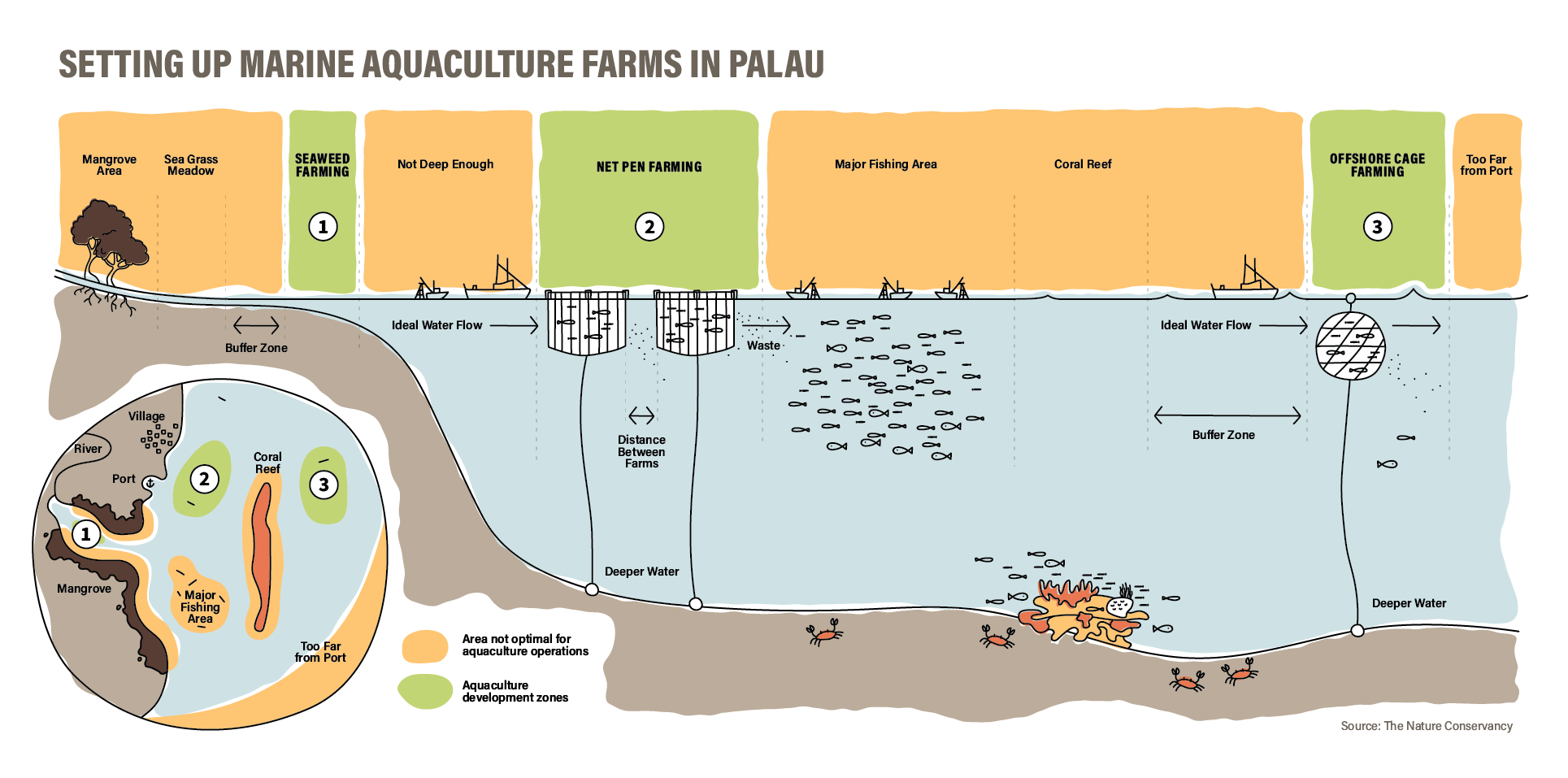 An infographic of how to set up marine aquaculture farms in Palau.