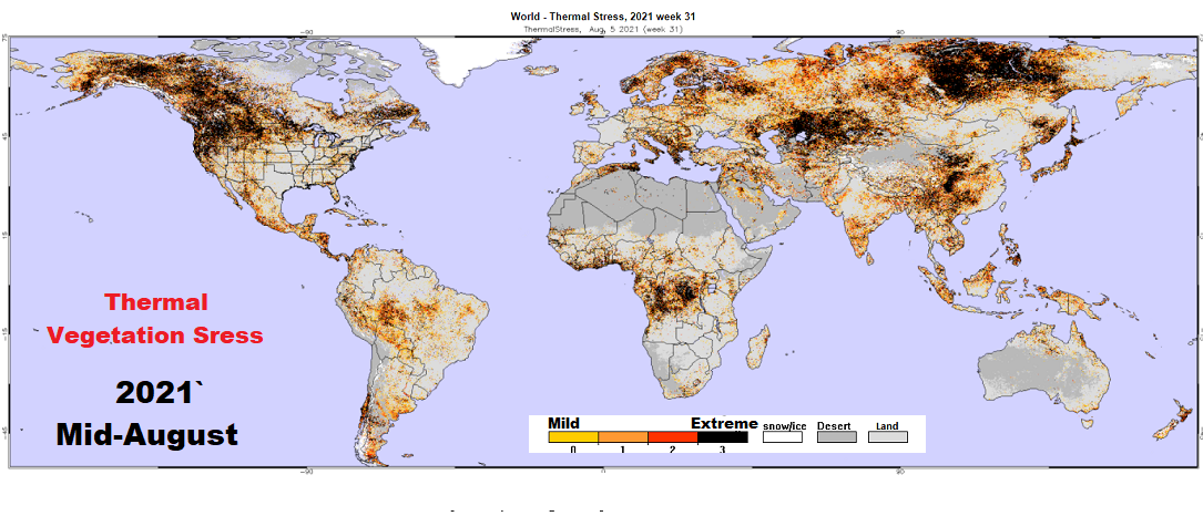 A map of the world showing an index of thermal vegetation stress from August 2021. Areas under stress appear in dark red to black; these colors cover much of the northwestern United States and Canada, up into Alaska, as well as central Africa, eastern Europe, parts of China, and northeastern Russia. Areas with milder stress are yellow or orange; these areas include Central America, central South America, and parts of Russia.