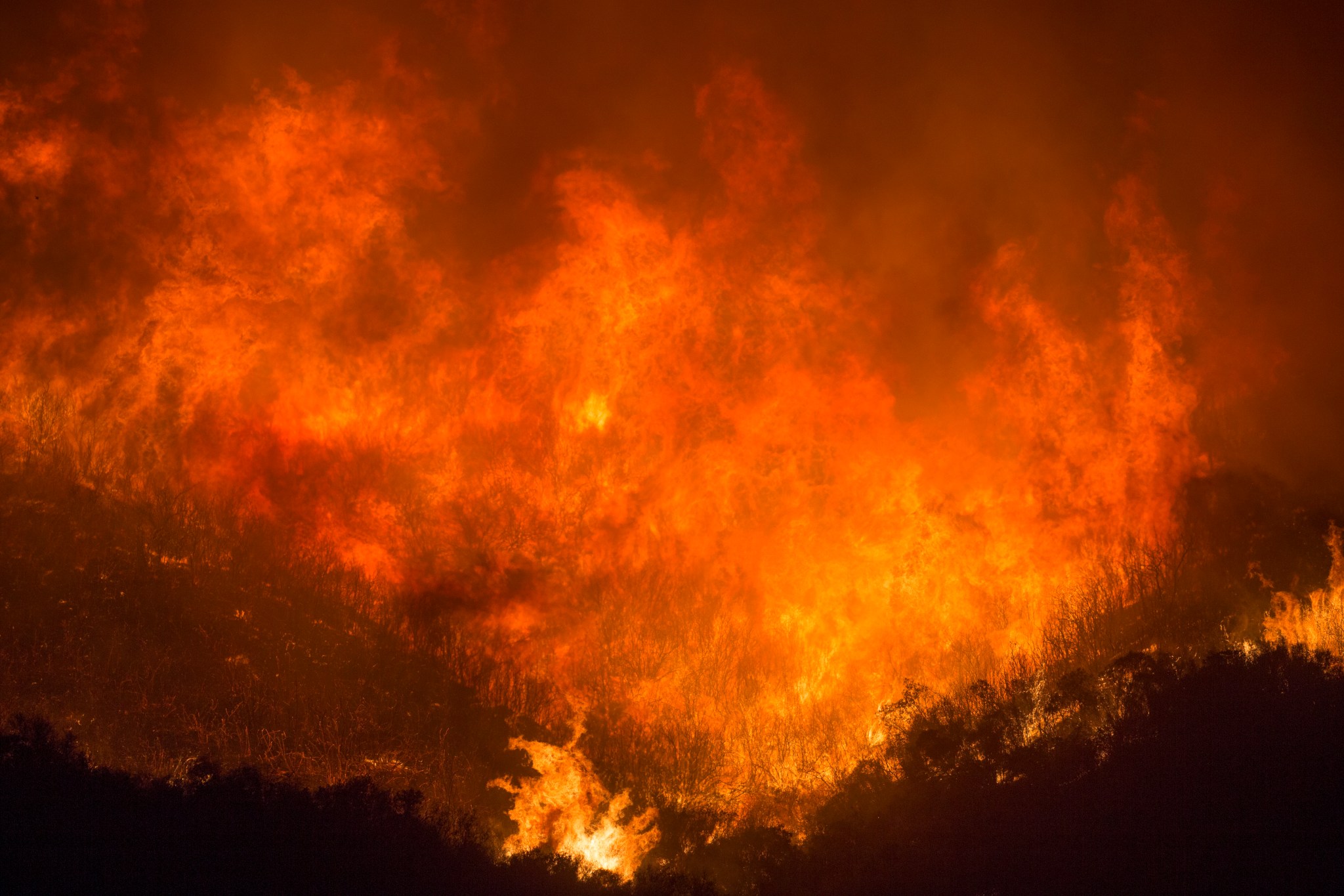 A massive wildfire burning a hillside covered in trees