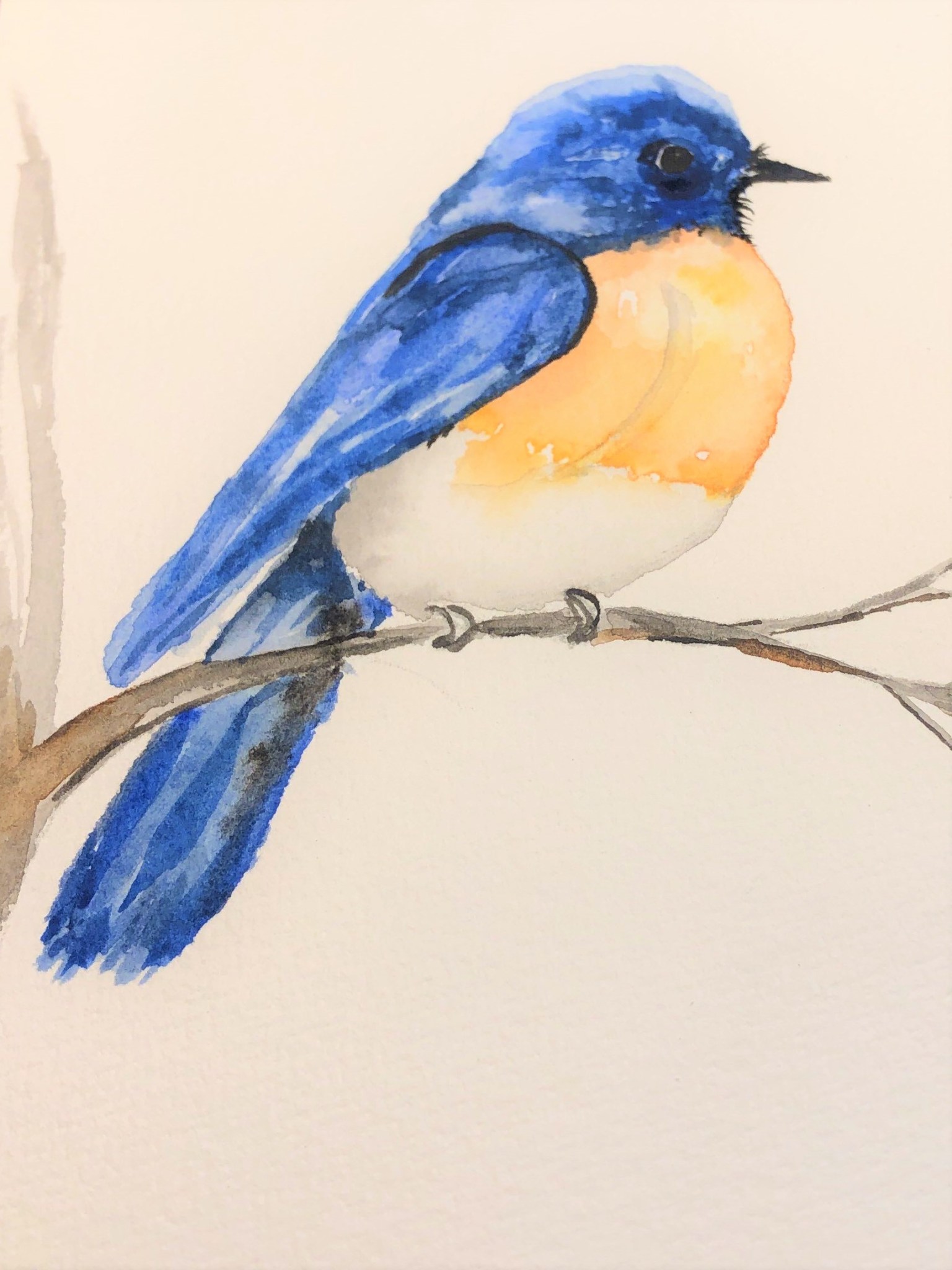Jennifer Neptune's painting of a bluebird sitting on a branch