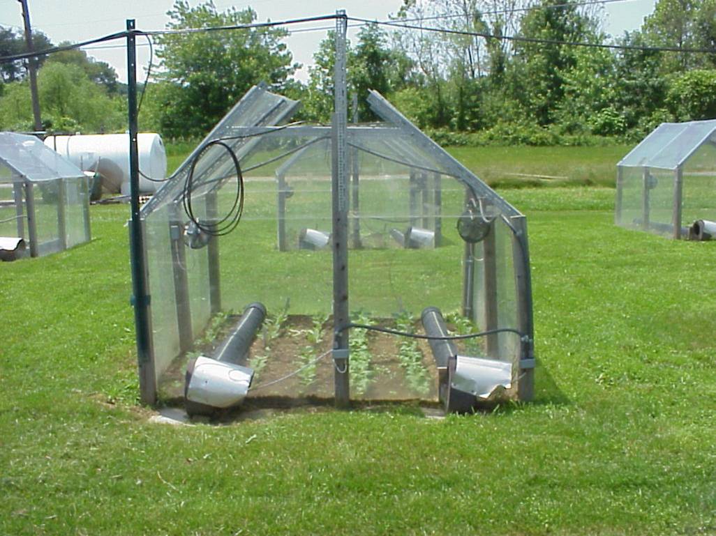 Image of a small garden plot surrounded by plexiglass walls like a greenhouse.