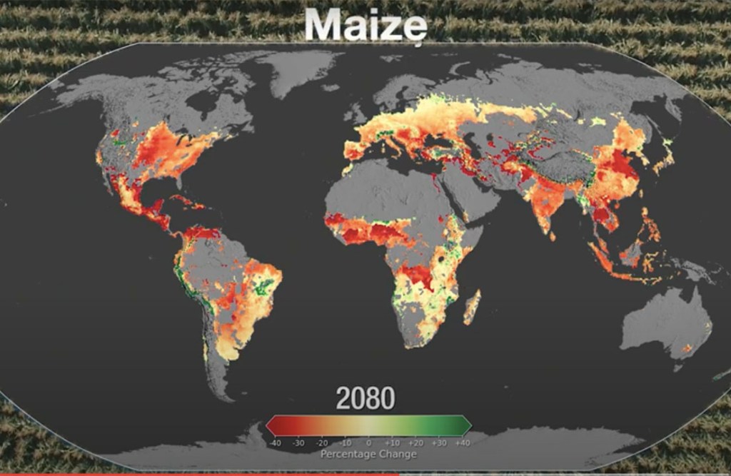 
			Un estudio de la NASA predice impactos del cambio climático global en los cultivos en 10 años			
