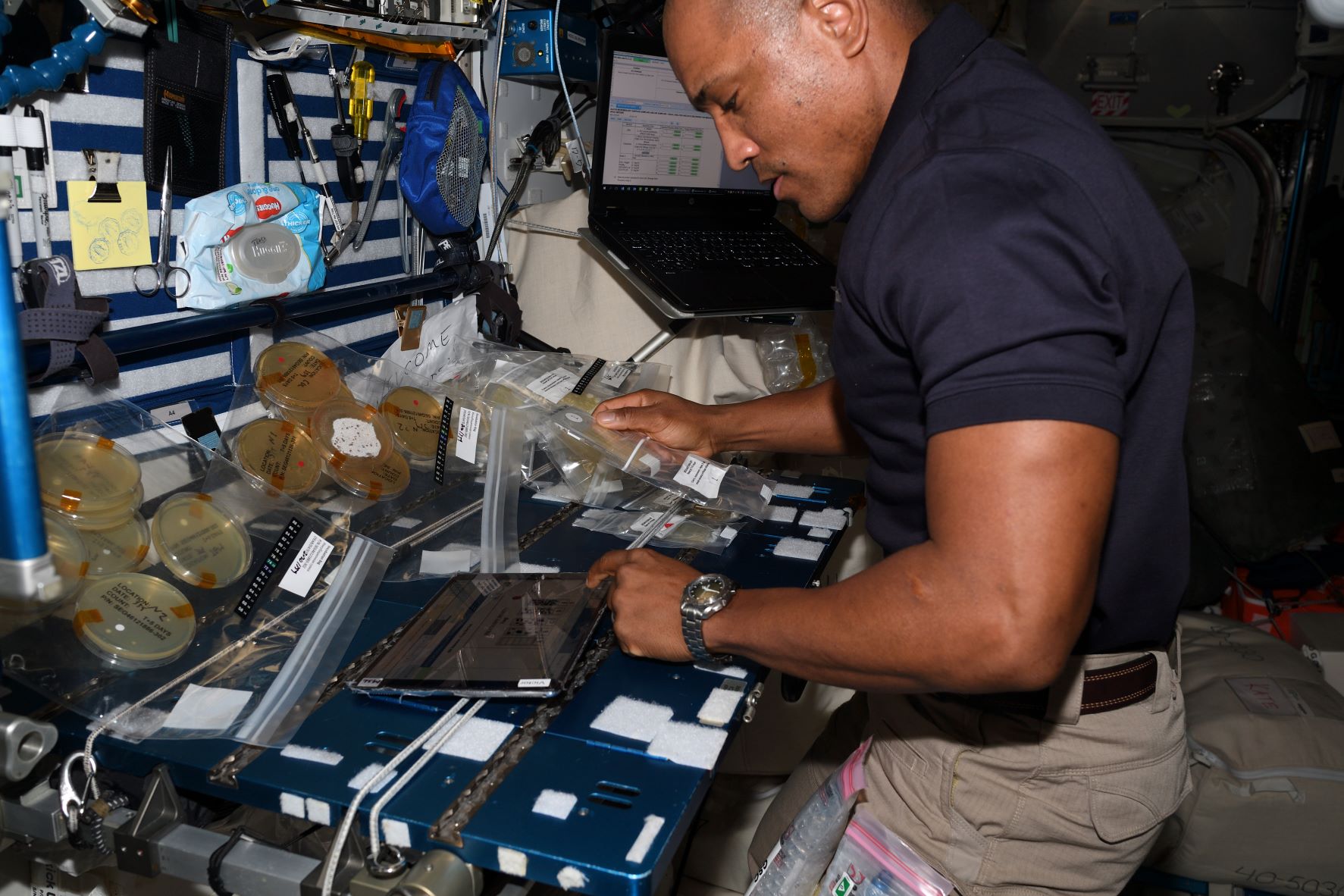 NASA astronaut Victor Glover observes and records density of the microbial colony after the incubation period. 