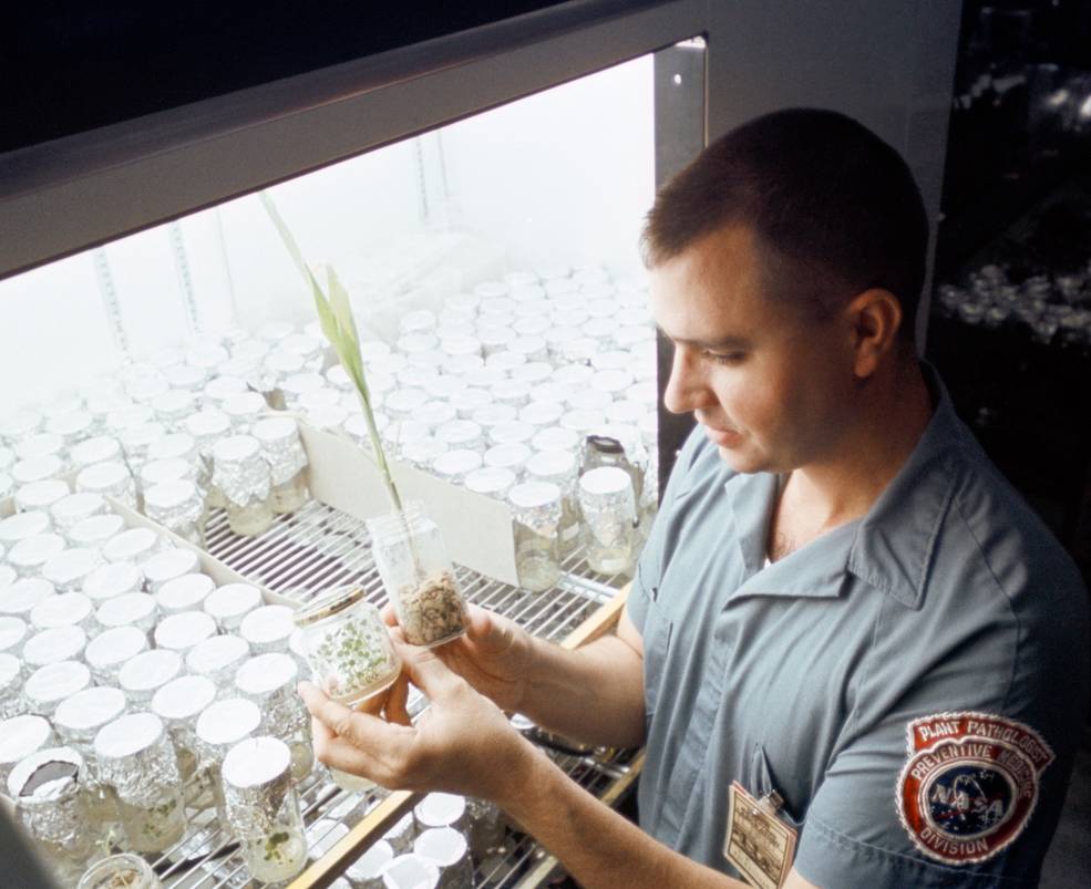 building_on_a_mission_lrl_26_lrl_walkinshaw_w_plants_exposed_to_lunar_soil_oct_8_1969