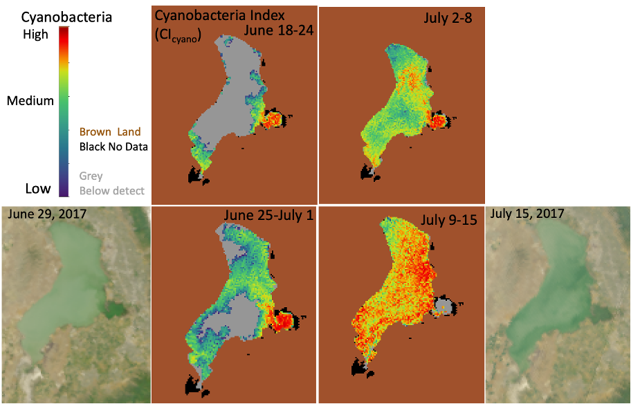 Time series of an algal bloom, with true color images of Utah Lake captured by OLCI on the Sentinel-3A satellite in summer of 2017 (left and right, with green shades indicating high algae concentrations) and weekly composites of CyAN data.