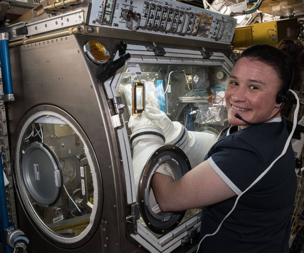 iss20_hhm_aunon-chancellor_exp_56_angiex_cancer_therapy_in_msg