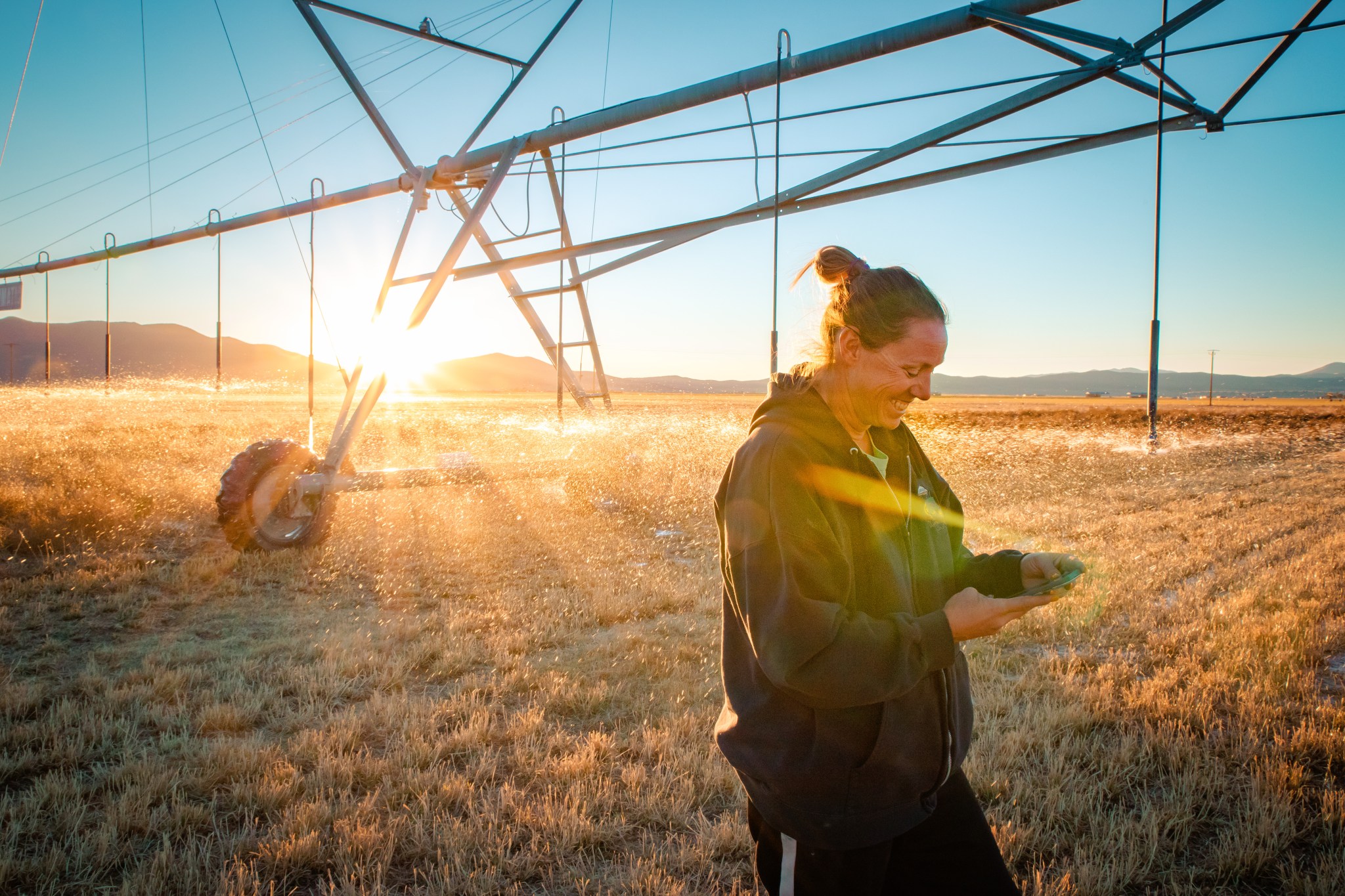 Nevada farmer Denise Moyle in a field checking her mobile phone.