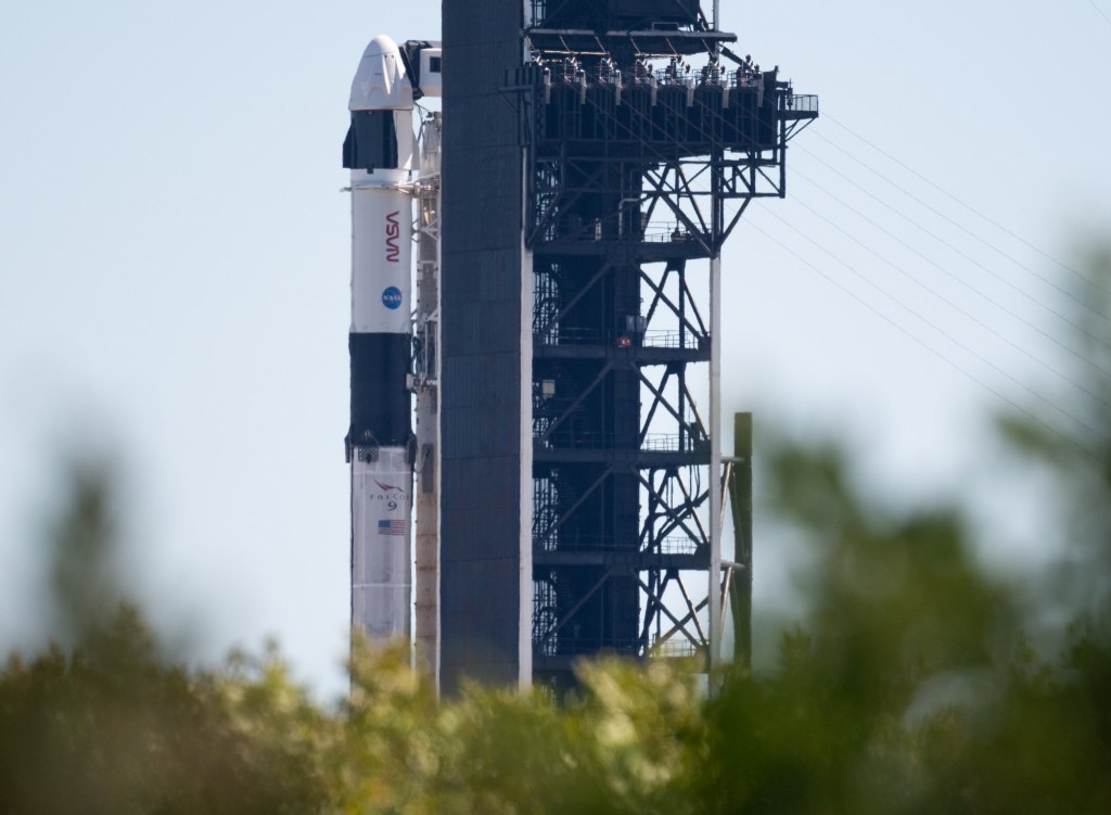 
			Coverage Update for NASA’s SpaceX Crew-3 Briefings, Events, Broadcasts			