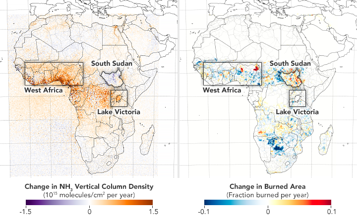 Two side by side images of Africa. On the right, data shows the change ammonia in the atmosphere with high changes in West Africa, Lake Victoria and South Sudan. The left shows the change in burned area which corresponds to those areas.