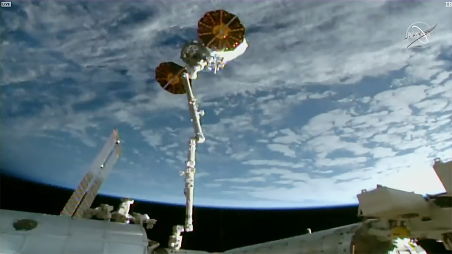 The Northrop Grumman Cygnus space freighter is in the grip of the Canadarm2 robotic arm moments before its release above the South Pacific Ocean. Credit: NASA TV