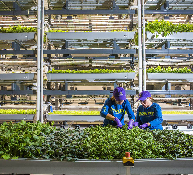 Two people working inside abandoned buildings that have been converted into indoor vertical farms. 