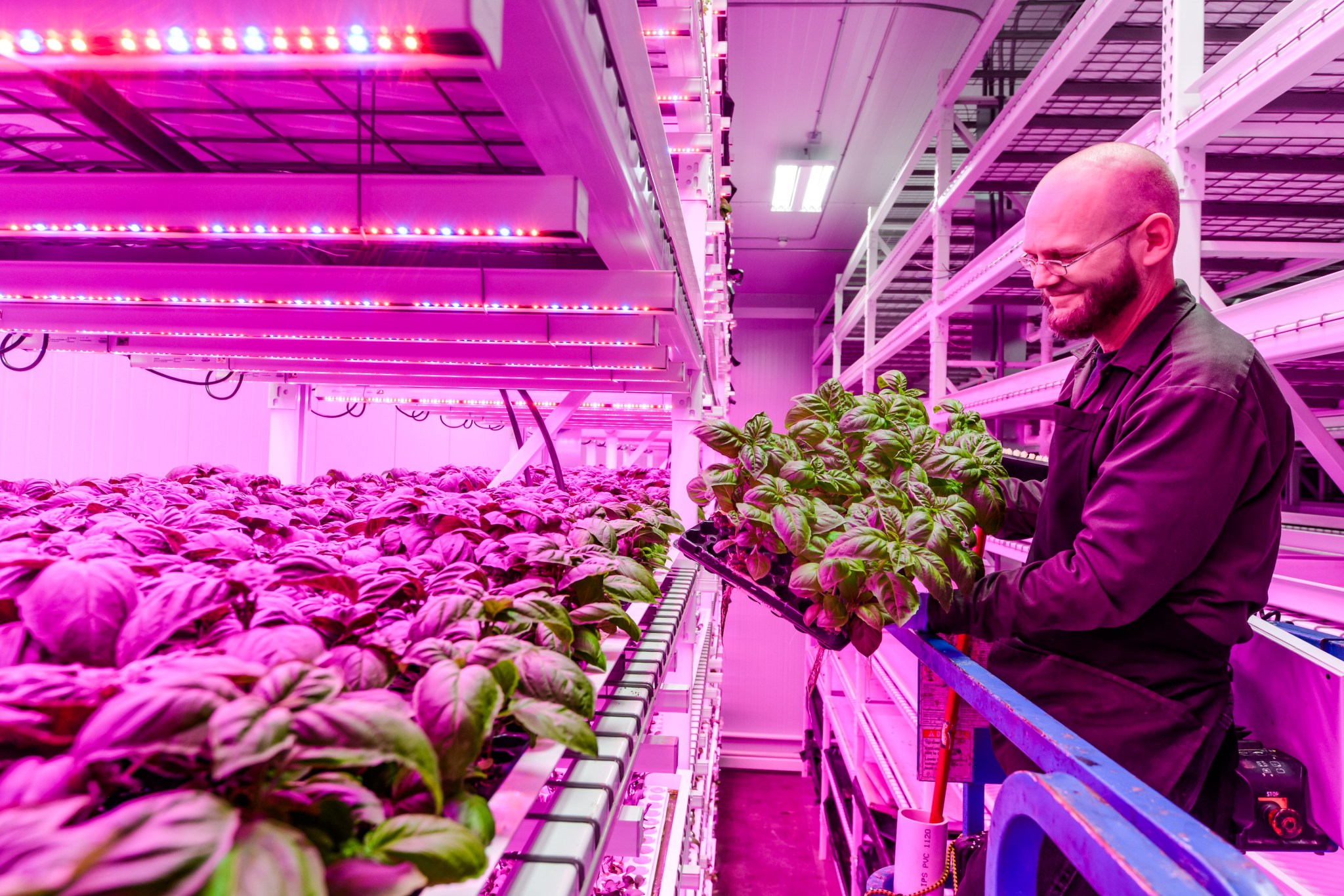 Chief engineer smiling at vegetation growing under red lights.