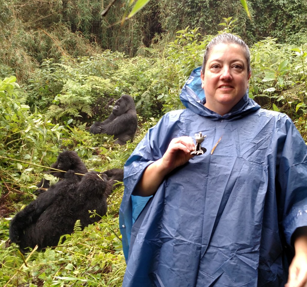 
			Meet the DART Team: Julie Schneringer - NASA			