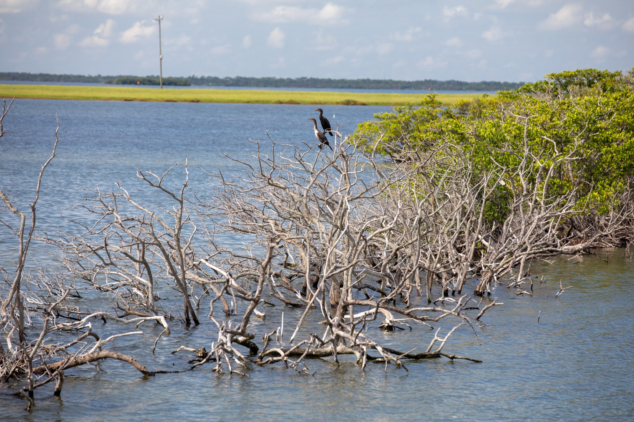 Kennedy Space Center's 140,000-acre property shares land with the Merritt Island National Wildlife Refuge and the Canaveral National Seashore. 