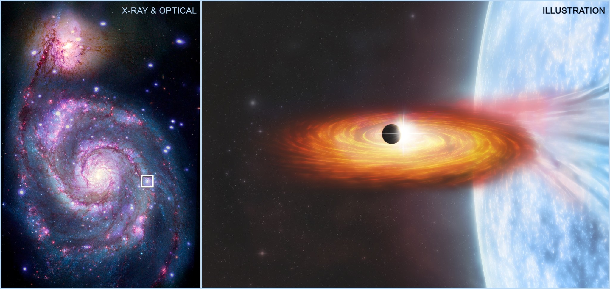 A composite of X-rays and optical light of the M51 galaxy in the left panel and illustration in the right panel..