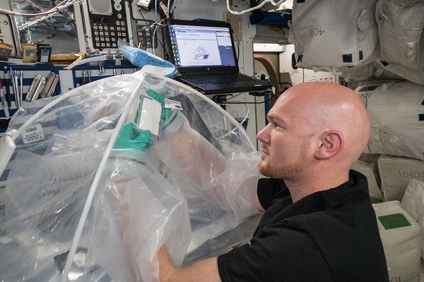 image of an astronaut working with an experiment