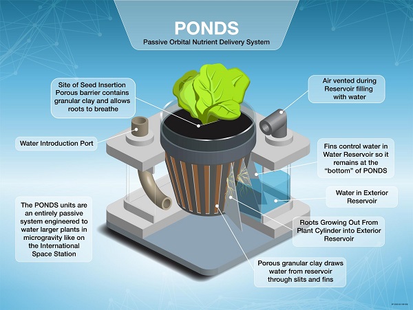 image of an infographic of the plant unit