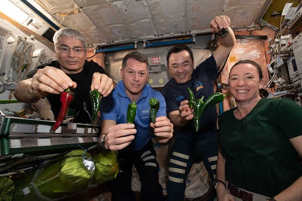 image of four astronauts with floating peppers