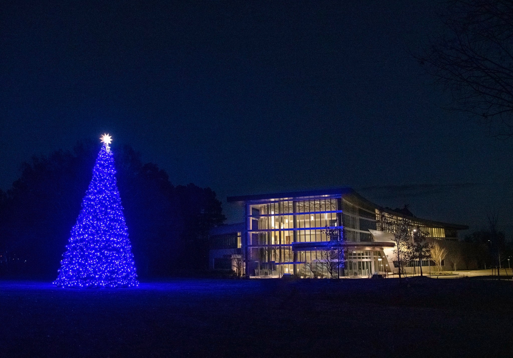 The new Marshall holiday tree is located just north of Building 4260. 