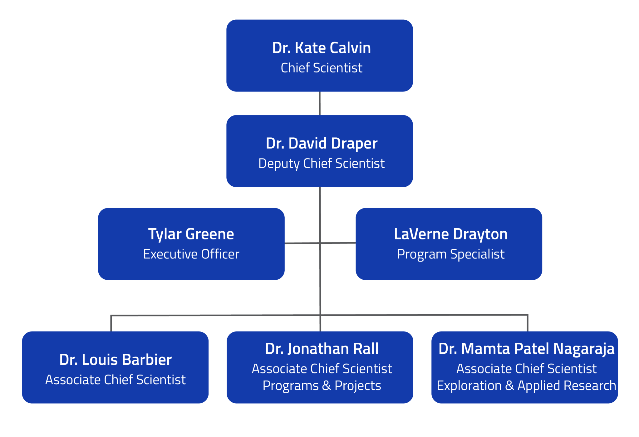 Organization chart Showing the names and titles from the bios above