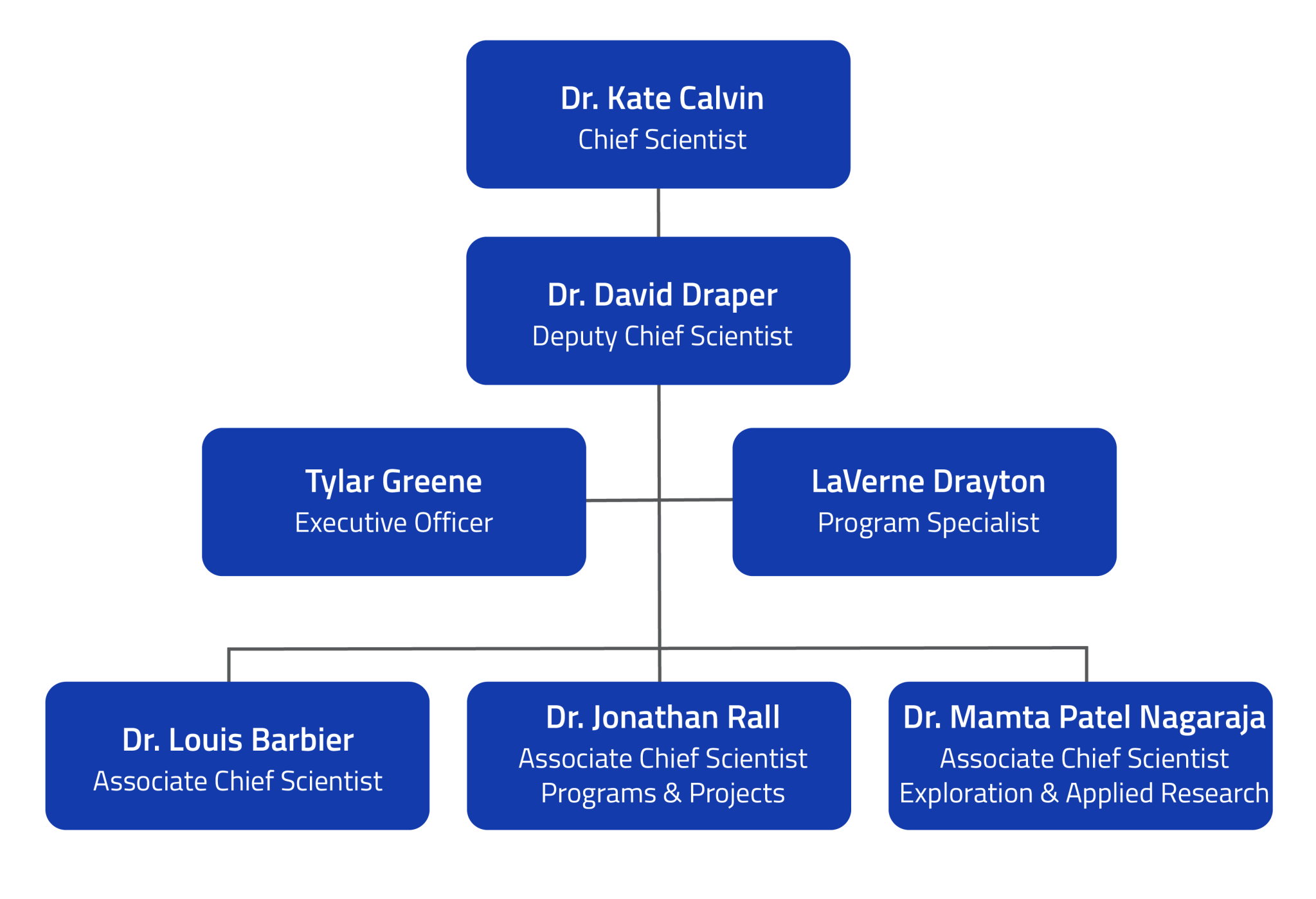 Organization chart Showing the names and titles from the bios above