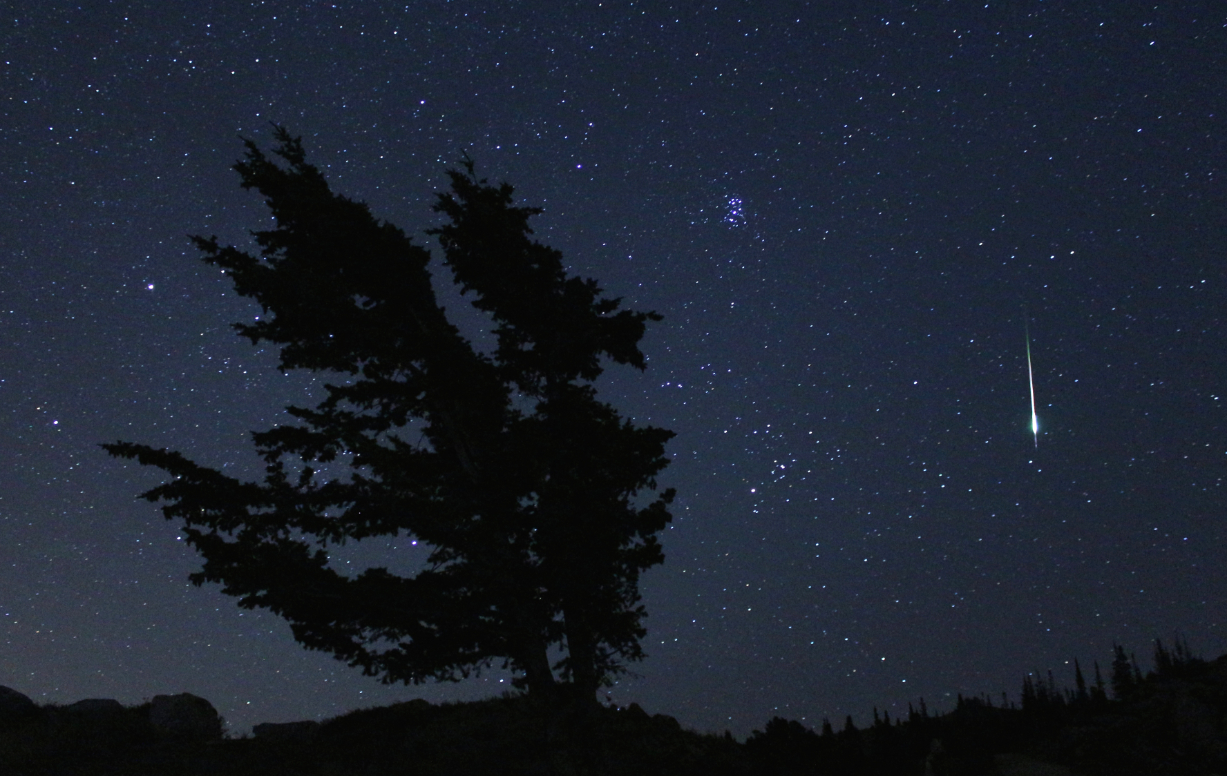 A dark, starry sky appears in the background, with a large tree in silhouette in the foreground on the left. On the right, a bright meteor streak