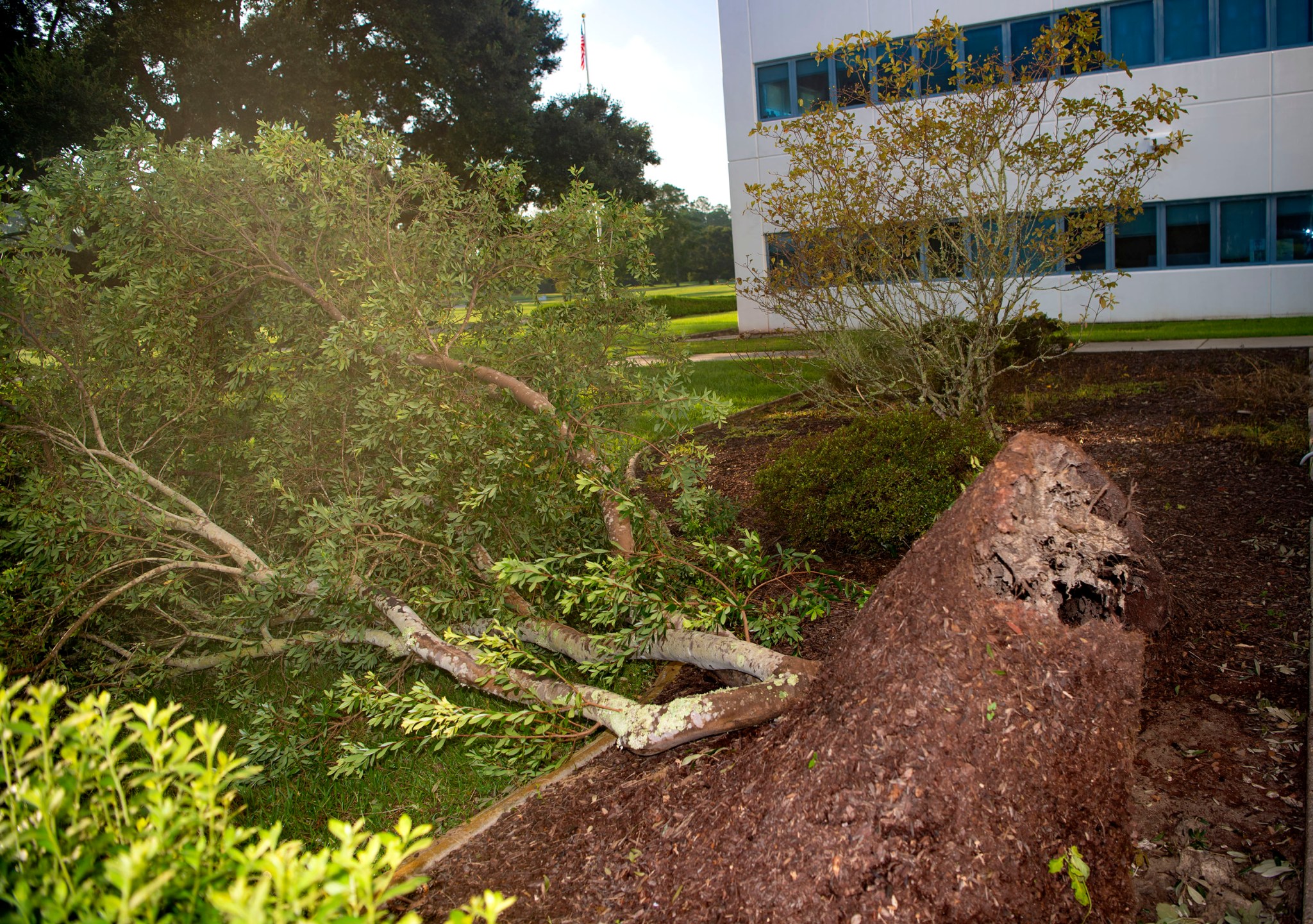 Hurricane Ida aftermath