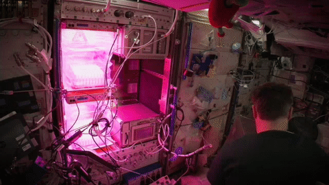 moving image of an astronaut working with an experiment