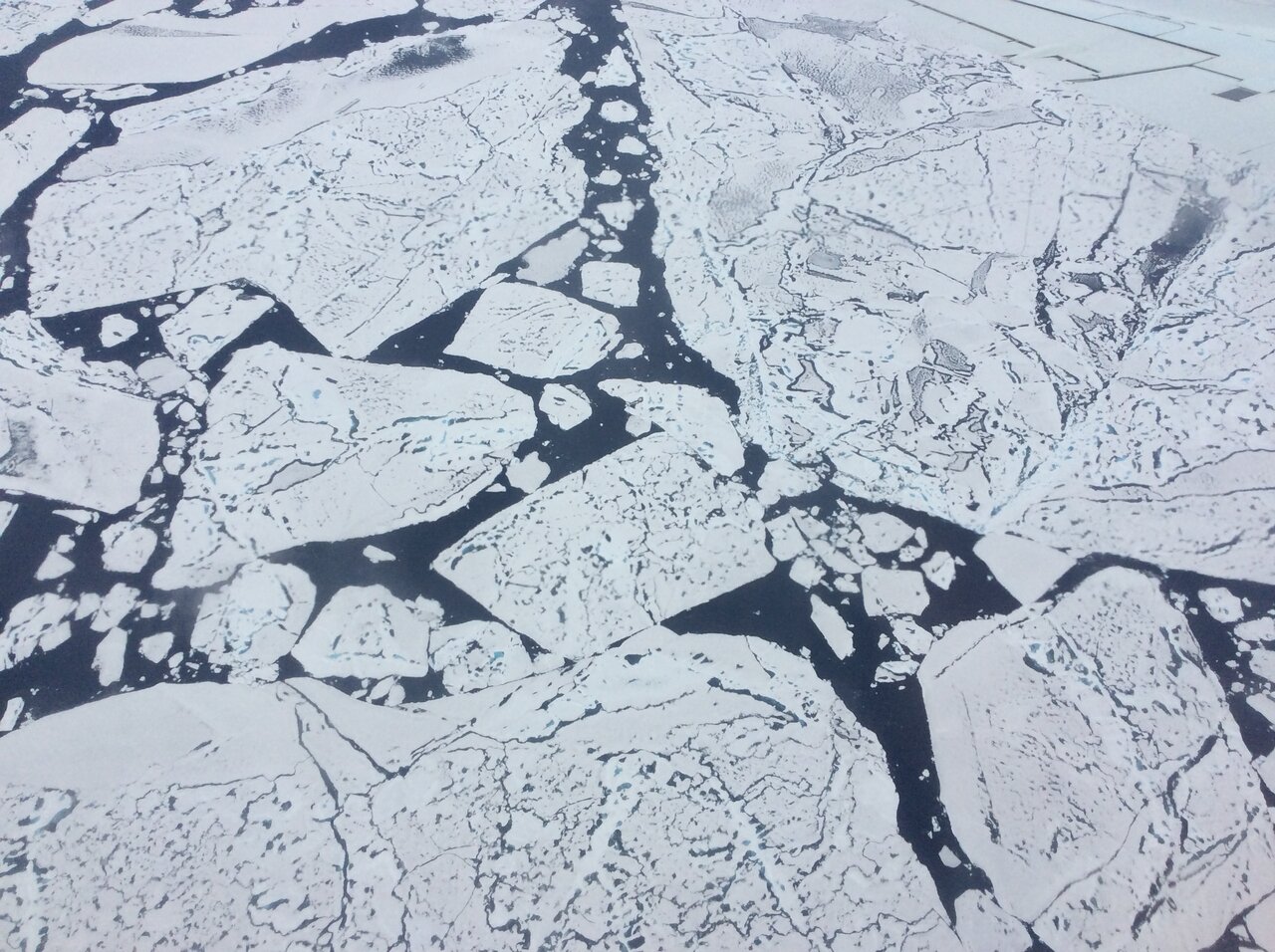 Close-up view of sea ice floes from NASA's DC-8 Research aircraft. The dark features on the ice are melt ponds, and the dark areas of between the floes are open water of the Arctic Ocean.
 