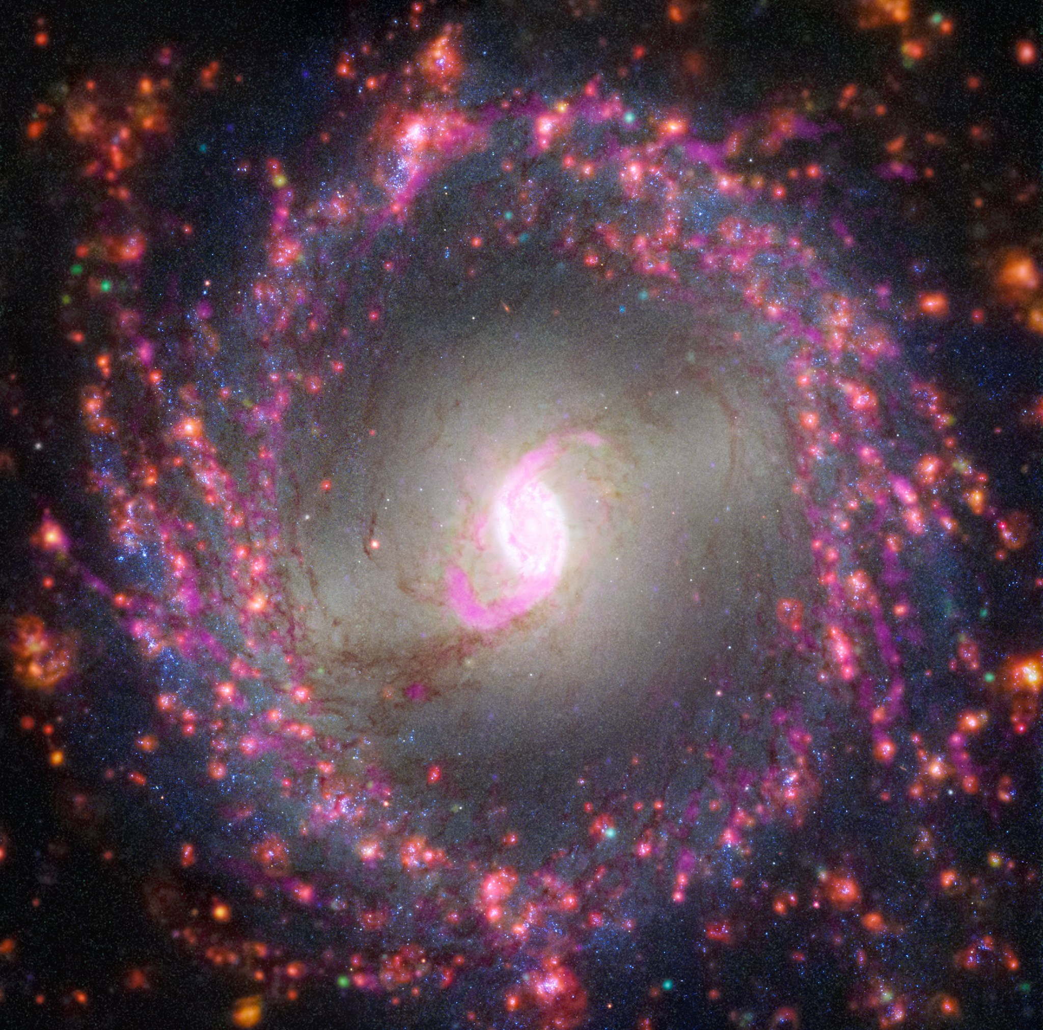 top-down view of spiral galaxy NGC 3351, with a bright, pink-white center and an outer ring of pink and purple, with amber-hued fringes, against the black backdrop of space