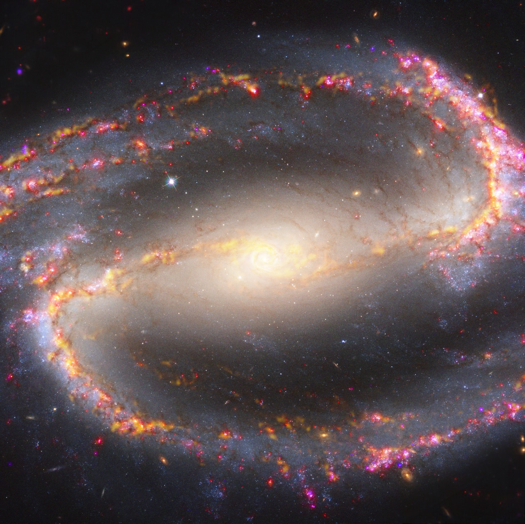 Spiral galaxy NGC 1300 with bright, yellow-white center, and two pronounced, serpentine arms, hued in pink and purple, against the black backdrop of space