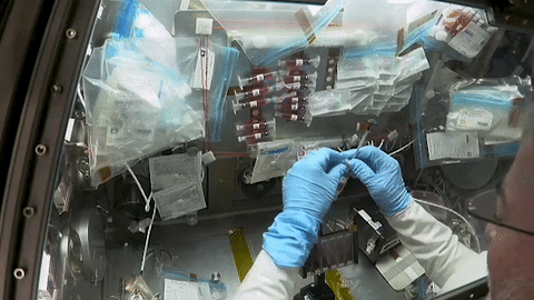 moving image of astronaut working on experiment