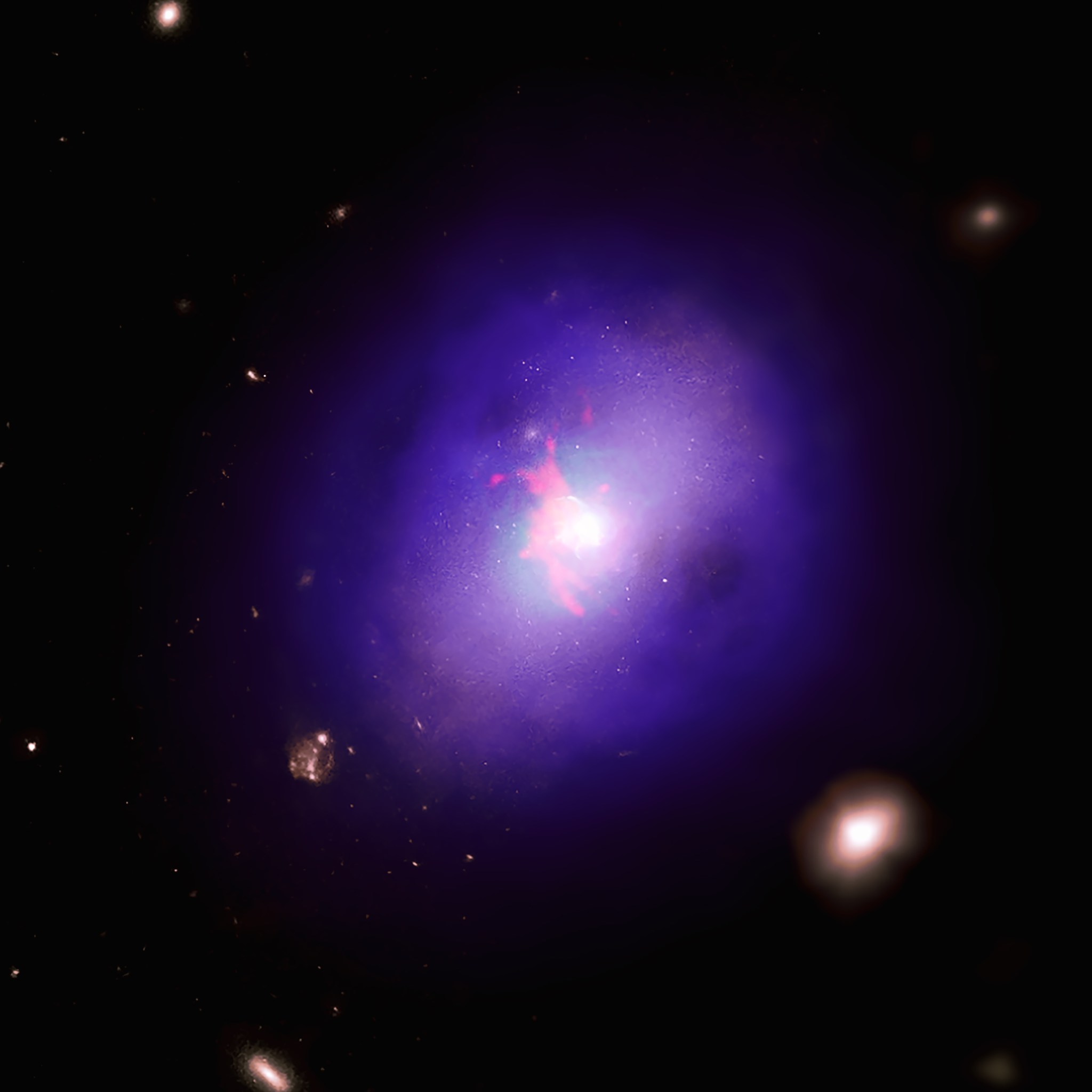Abell 2597 galaxy cluster.