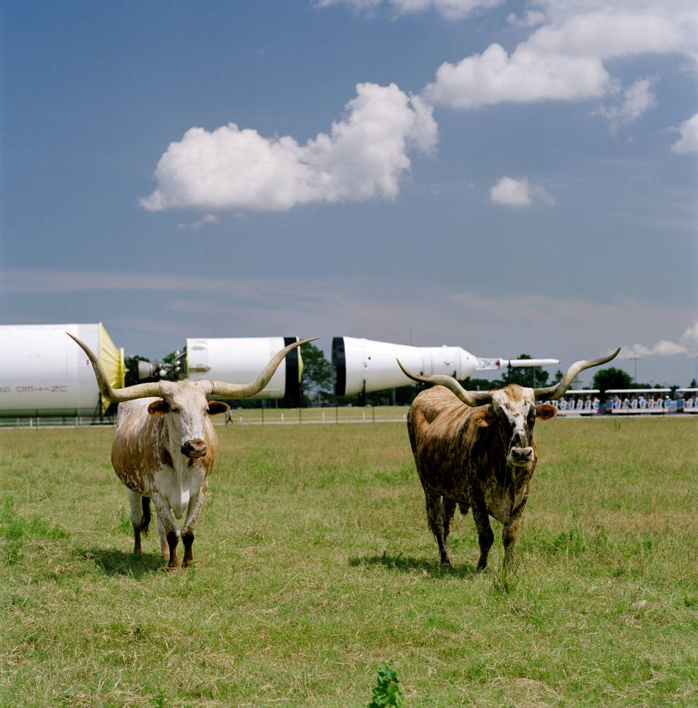 The Longhorn Project began at JSC in 1997 with the release of two  longhorns on the land that was once home to an entire herd.