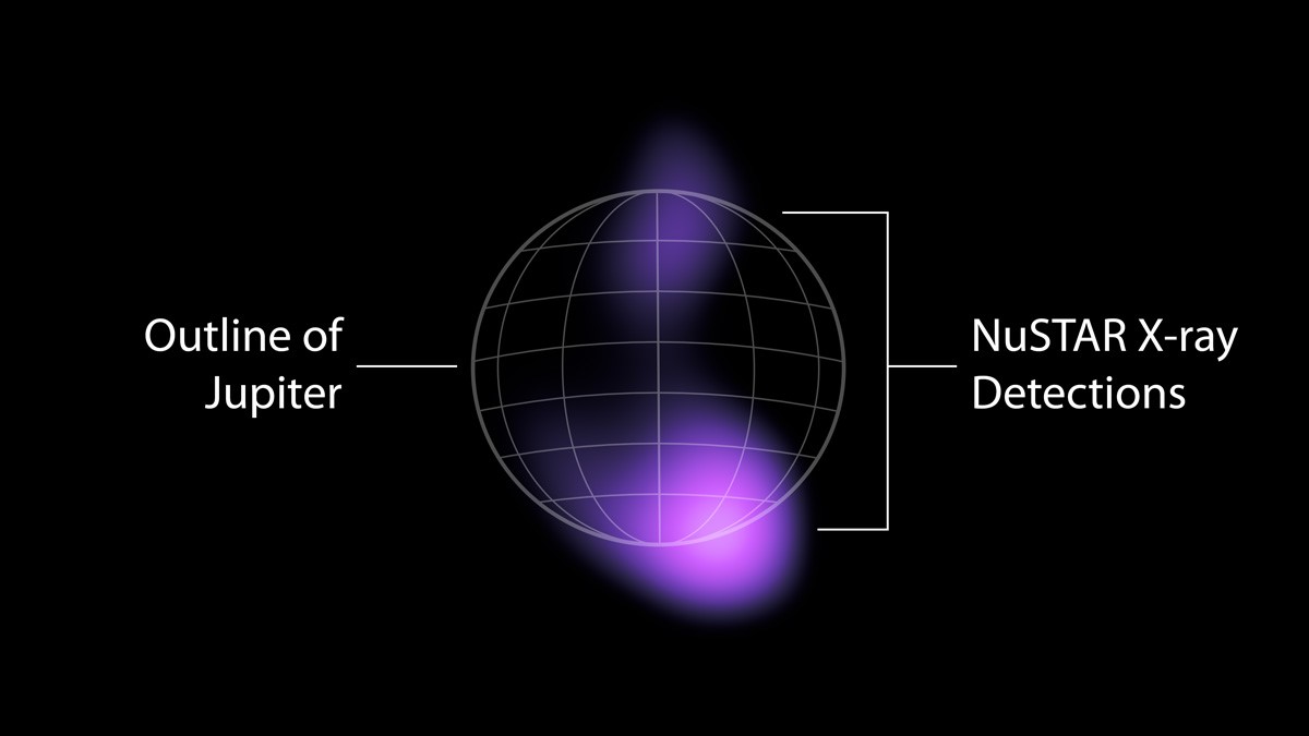 NuSTAR detected high-energy X-rays from the auroras near Jupiter’s north and south poles. NuSTAR cannot locate the source of the light with high precision, but can only find that the light is coming from somewhere in the purple-colored regions.