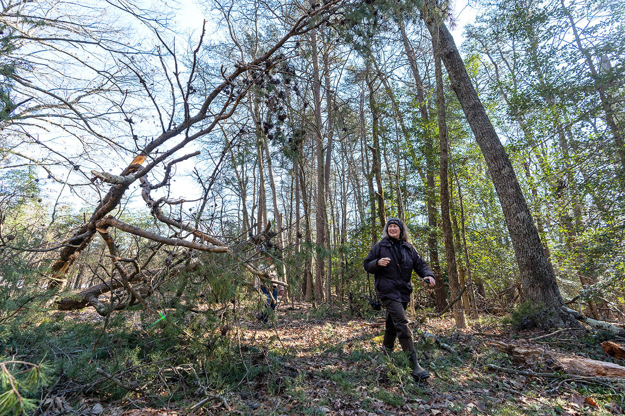 two people walking through the woods