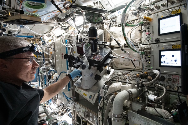 image of astronaut working with experiment hardware