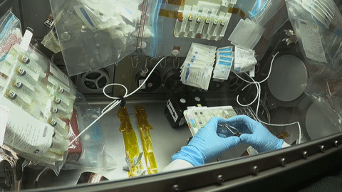 moving image of astronaut working with experiment in a glovebox