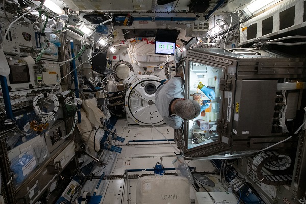 image of an astronaut working with a science glovebox