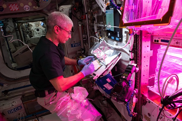 image of an astronaut working with an experiment