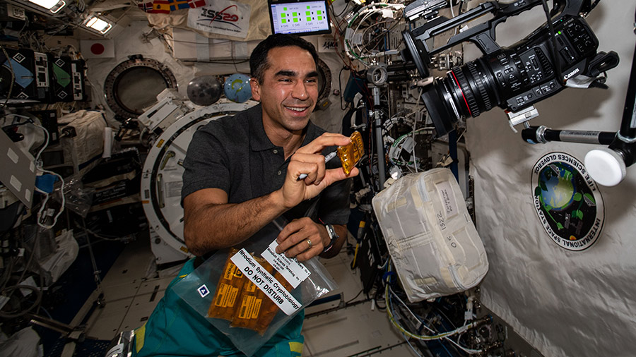 NASA astronaut Raja Chari works on a biotechnology study that may advance technologies for use in space and in extreme environments on Earth.