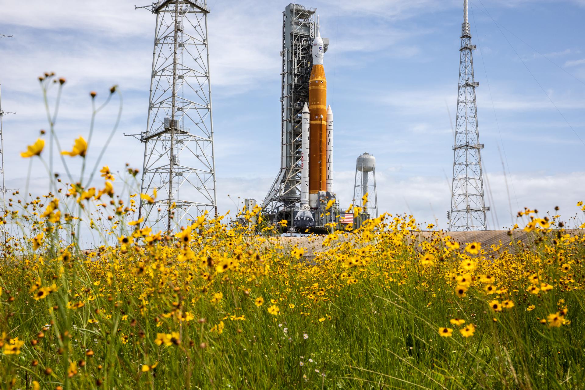 Wildflowers frame a view of the Artemis I Space Launch System (SLS) and Orion spacecraft on Launch Pad 39B