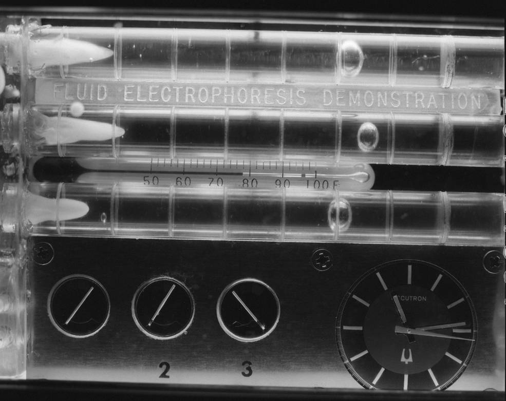 electrophoresis_experiment