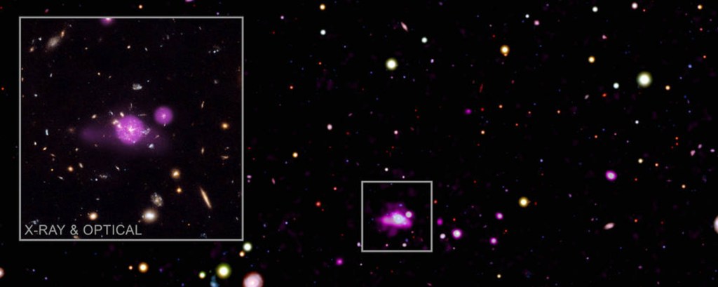 Feasting Black Holes Caught in Galactic Spiderweb