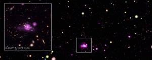 Feasting Black Holes Caught in Galactic Spiderweb