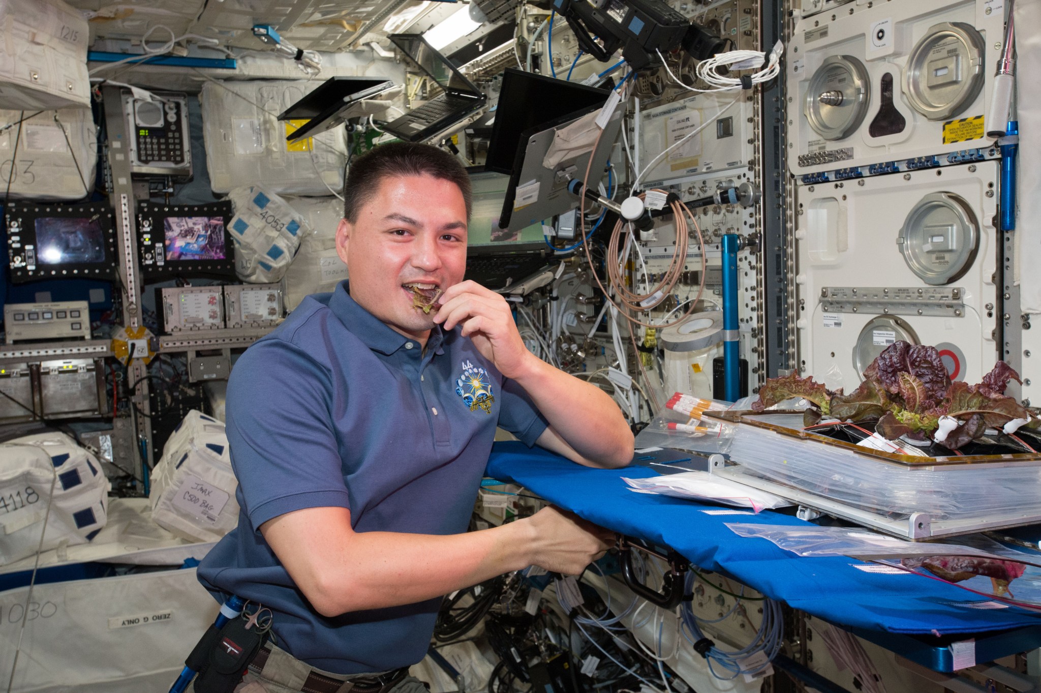 image of an astronaut eating lettuce