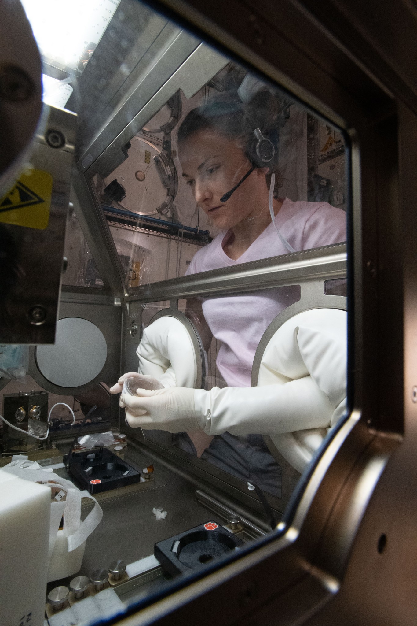NASA astronaut Kayla Barron works inside the Life Science Glovebox 