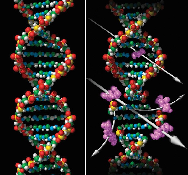 graphic of DNA mapping